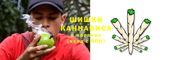 соль курить ск Белокуриха