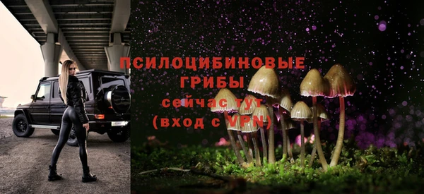 PSILOCYBIN Беломорск