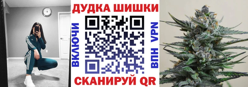 Каннабис сатива  купить   Красноперекопск 